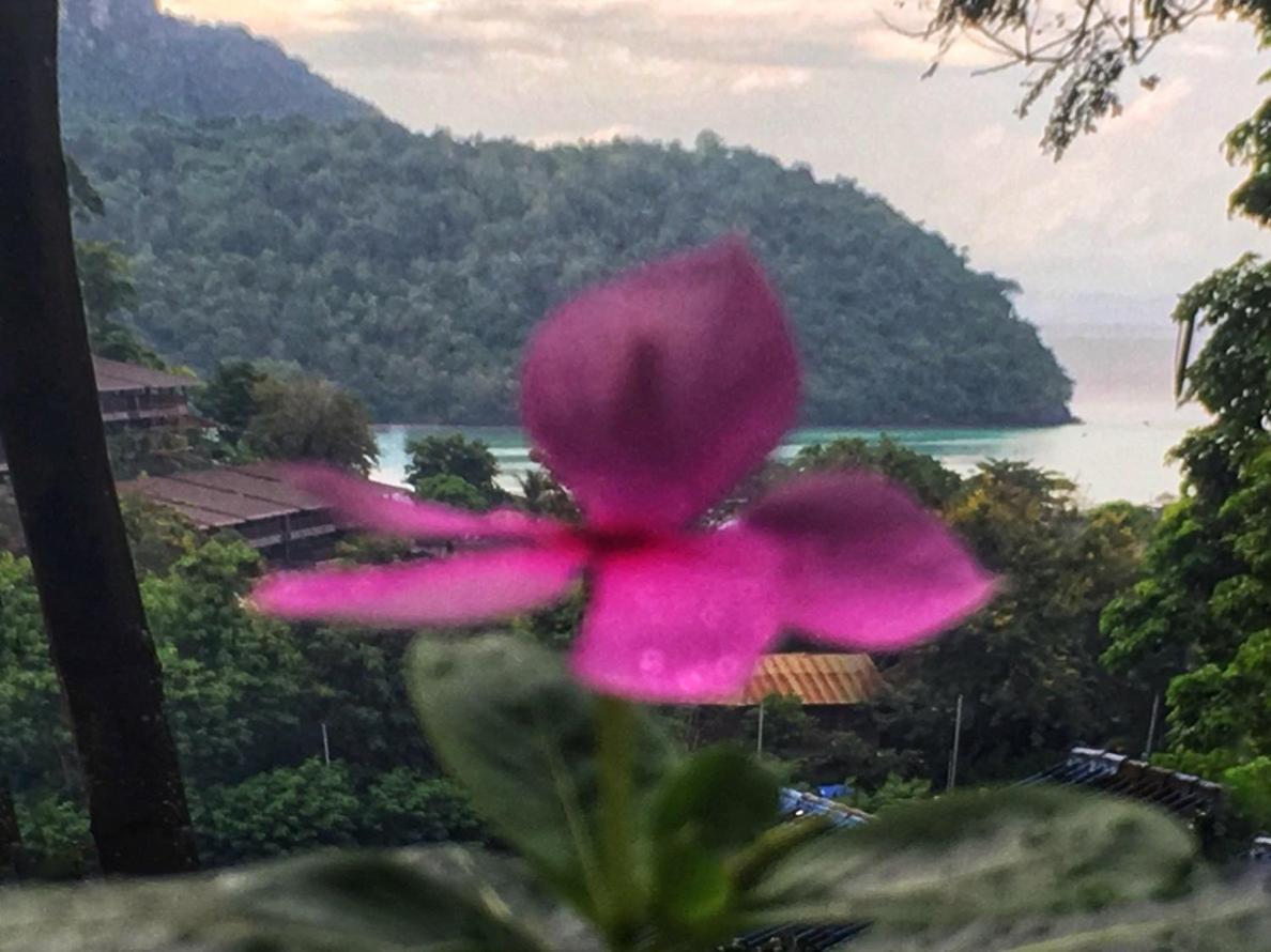Phi Phi Sea And Hill Resort Luaran gambar